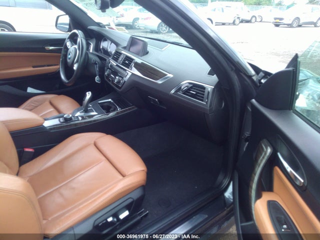 2019 BMW 2 Series, VIN: WBA2J3C55KVD49093