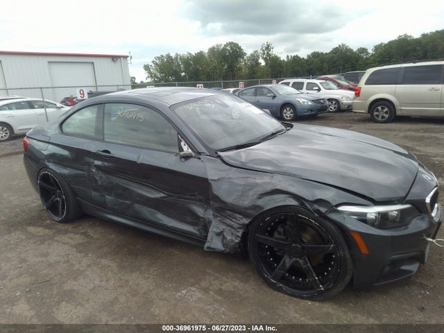 2019 BMW 2 Series, VIN: WBA2J3C55KVD49093