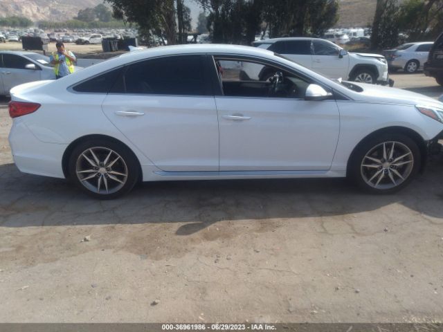 Hyundai Sonata Sport 2017 5NPE34AB6HH588618 Image 5