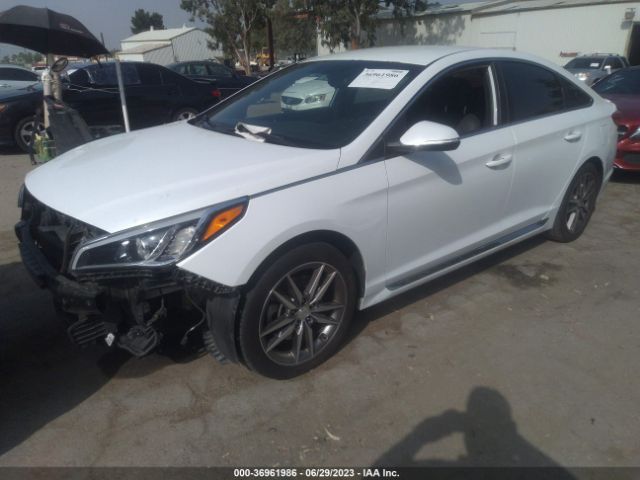 Hyundai Sonata Sport 2017 5NPE34AB6HH588618 Image 2