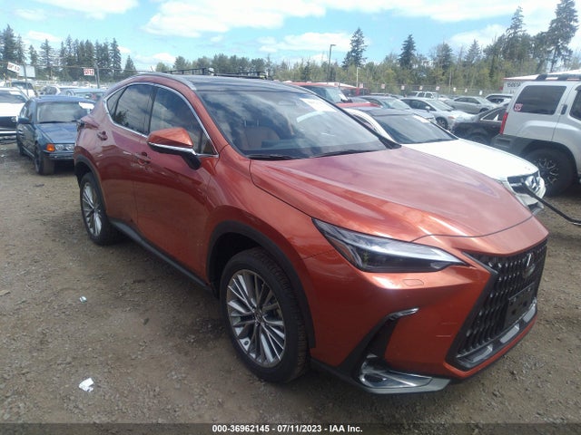 2023 Lexus NX, VIN: JTJHKCEZ9P2015971
