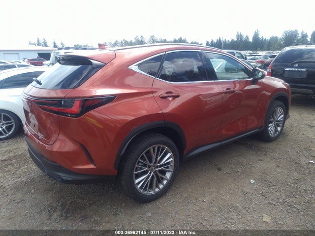2023 Lexus NX, VIN: JTJHKCEZ9P2015971