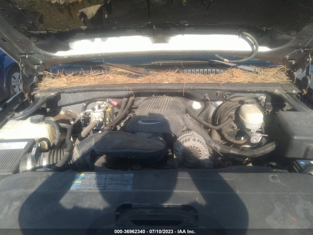 2006 CHEVROLET SILVERADO 1500 LS VIN: 2GCEK13V661343888