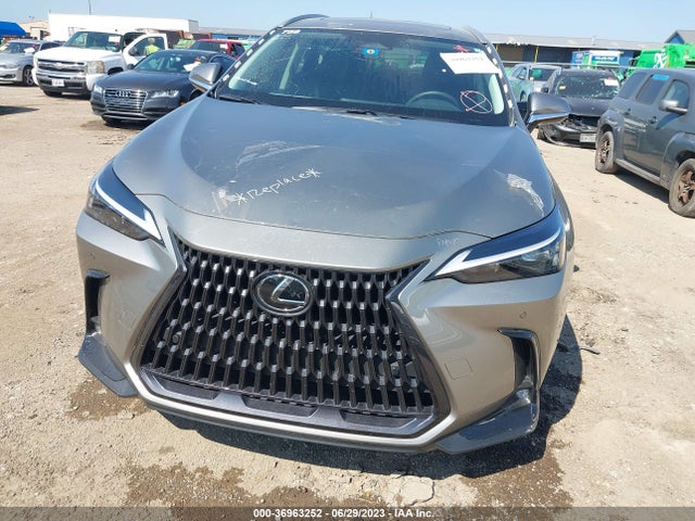 2023 Lexus NX, VIN: 2T2GDCAZ2PC004466