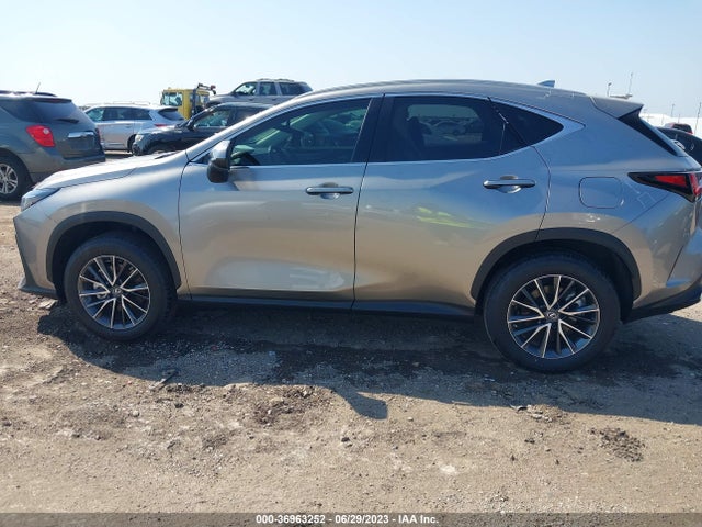 2023 Lexus NX, VIN: 2T2GDCAZ2PC004466