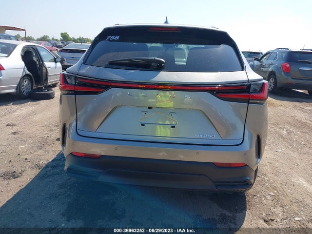 2023 Lexus NX, VIN: 2T2GDCAZ2PC004466