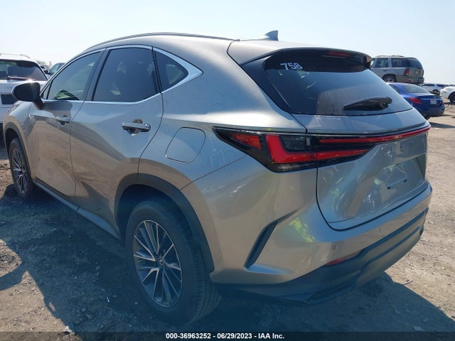 2023 Lexus NX, VIN: 2T2GDCAZ2PC004466