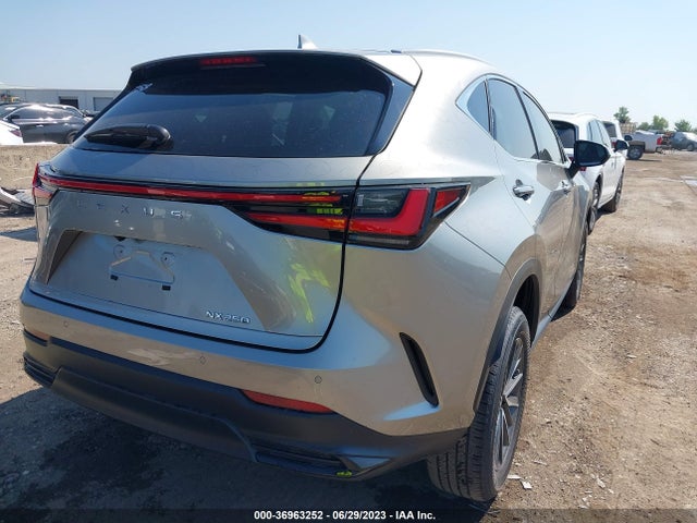 2023 Lexus NX, VIN: 2T2GDCAZ2PC004466