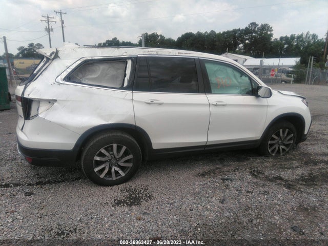 Honda Pilot Ex-l 2019 5FNYF6H5XKB067083 Image 5