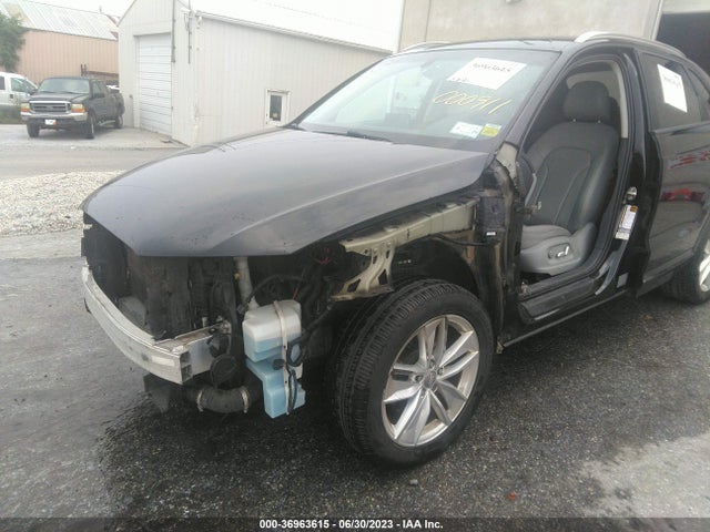 WA1ECCFS5HR000911 Audi Q3 PREMIUM