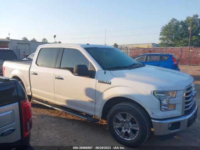 1FTEW1CPXFKD78410 Ford F-150 Xl/lariat/xlt