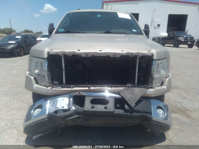 2010 FORD F-150 XLT VIN: 1FTEX1C81AFB87479