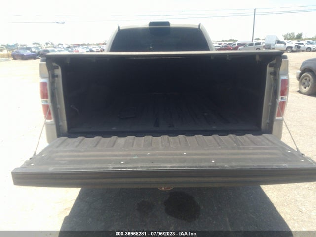 2010 FORD F-150 XLT VIN: 1FTEX1C81AFB87479