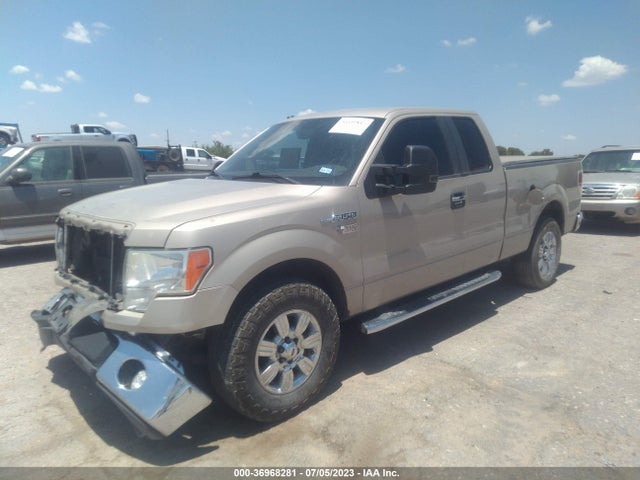 2010 FORD F-150 XLT VIN: 1FTEX1C81AFB87479