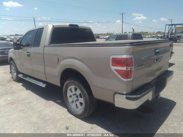 2010 FORD F-150 XLT VIN: 1FTEX1C81AFB87479