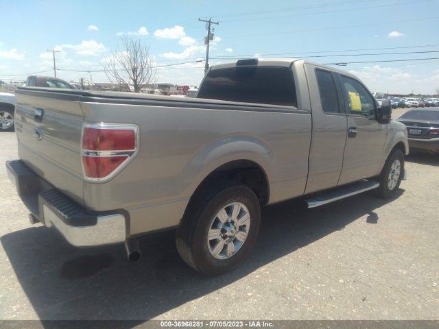 2010 FORD F-150 XLT VIN: 1FTEX1C81AFB87479