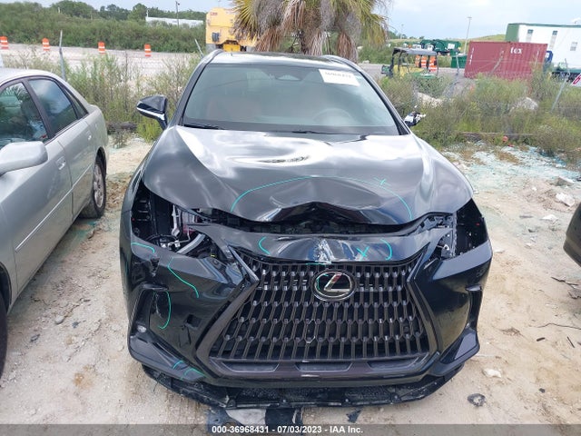 2022 Lexus NX, VIN: 2T2GKCEZ5NC008895
