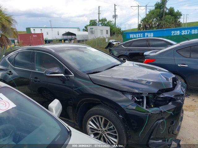 2022 Lexus NX, VIN: 2T2GKCEZ5NC008895
