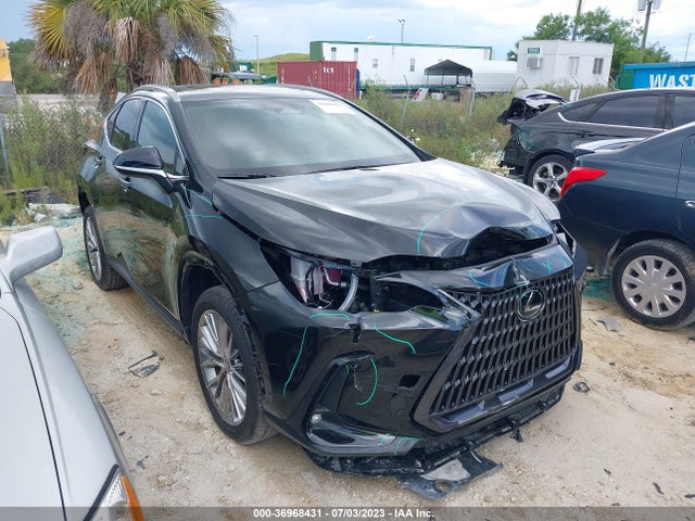 2022 Lexus NX, VIN: 2T2GKCEZ5NC008895