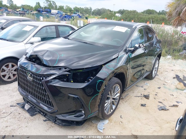 2022 Lexus NX, VIN: 2T2GKCEZ5NC008895