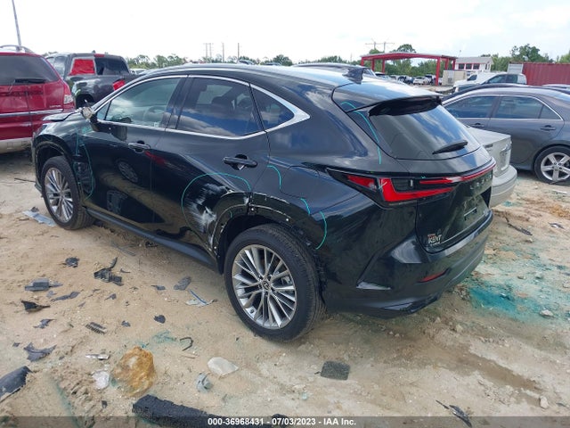 2022 Lexus NX, VIN: 2T2GKCEZ5NC008895