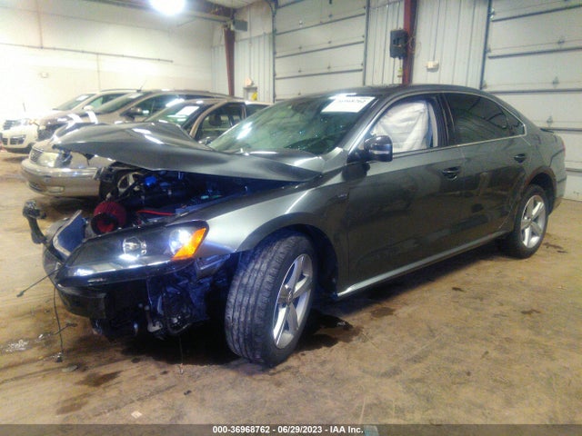 1VWAT7A3XFC122981 Volkswagen Passat 1.8t Limited Edition