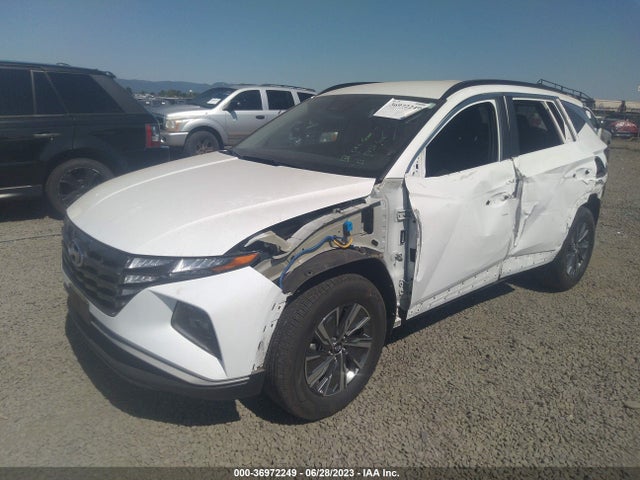 Hyundai Tucson Hybrid Blue 2022 KM8JBCA19NU019729 Image 2