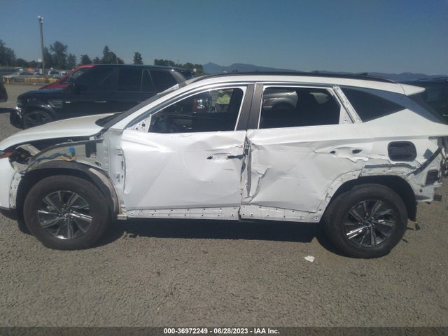 Hyundai Tucson Hybrid Blue 2022 KM8JBCA19NU019729 Image 13