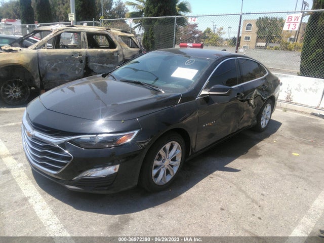 2019 CHEVROLET MALIBU LT VIN: 1G1ZD5ST6KF159713