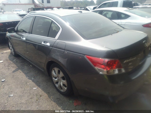 2010 HONDA ACCORD SDN EX-L VIN: 5KBCP3F8XAB006321