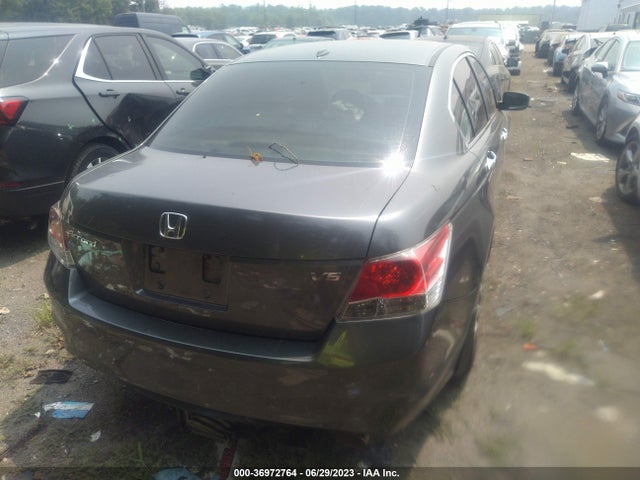 2010 HONDA ACCORD SDN EX-L VIN: 5KBCP3F8XAB006321