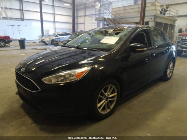 1FADP3F25FL294015 Ford FOCUS SE