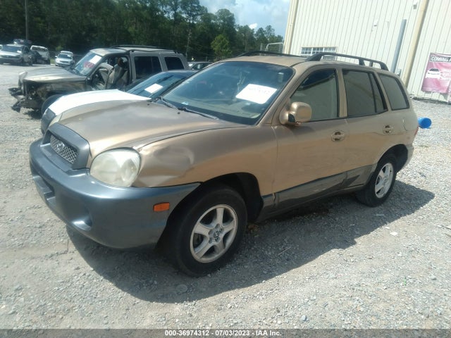 2003 HYUNDAI SANTA FE GLS/LX VIN: KM8SC13D83U462612