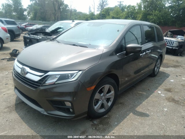 Honda Odyssey Ex-l 2019 5FNRL6H76KB082243 Image 2