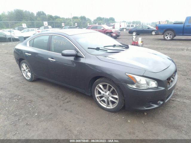 Auction sale of the 2013 Nissan Maxima 3.5 S, vin: 1N4AA5AP0DC835519, lot number: 36975845