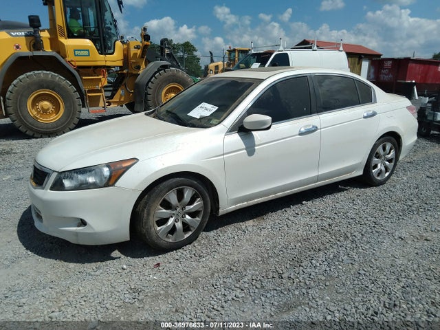 2009 HONDA ACCORD SDN EX-L VIN: 1HGCP36809A045214