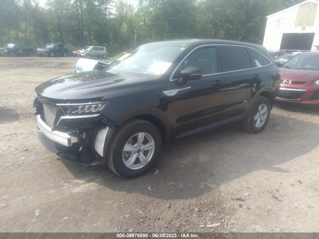 2023 KIA SORENTO LX VIN: 5XYRGDLC7PG170179
