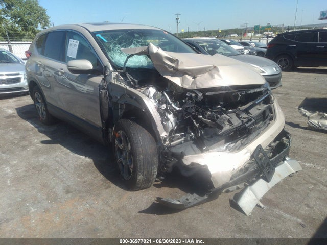 2019 5J6RW2H84KL015091 main image