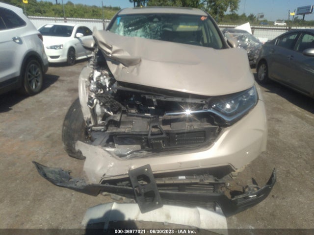 Honda Cr-v Ex-l 2019 5J6RW2H84KL015091 Image 13