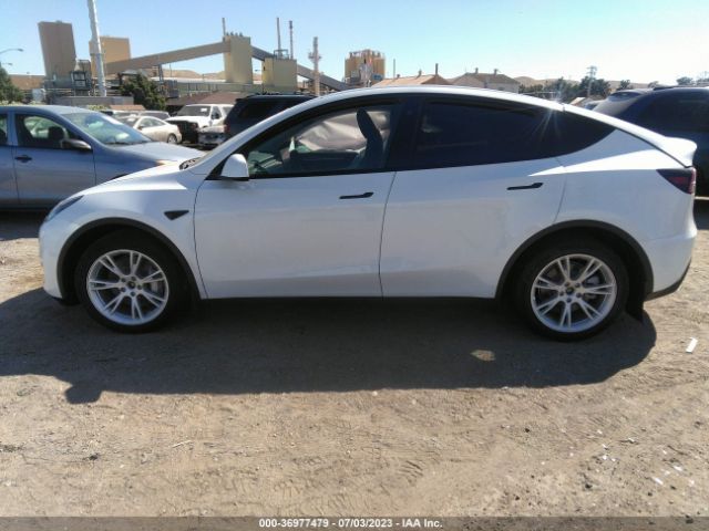 7SAYGDEE1PF742755 Tesla Model Y Long Range