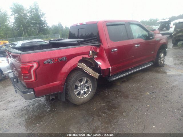 1FTEW1EG2GFB49047 Ford F-150 Xlt/xl/lariat/platinum