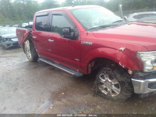 1FTEW1EG2GFB49047 Ford F-150 Xlt/xl/lariat/platinum