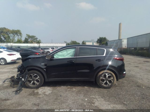 KNDPMCAC3L7666228 KIA Sportage Lx