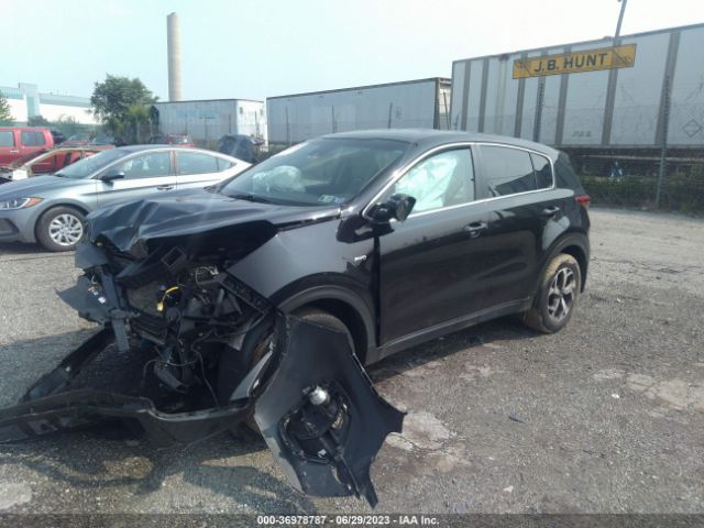 KNDPMCAC3L7666228 KIA Sportage Lx