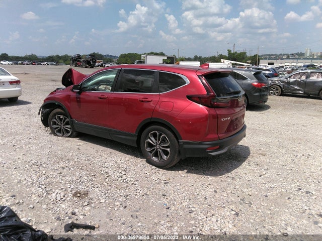 Honda Cr-v Ex-l 2022 7FARW2H82NE047071 Image 3
