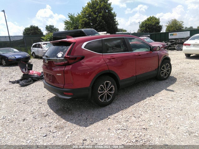 Honda Cr-v Ex-l 2022 7FARW2H82NE047071 Image 4