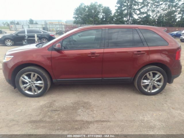 2FMDK3JCXEBA05505 Ford EDGE SEL