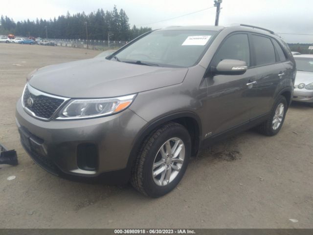 5XYKTDA78EG425423 KIA SORENTO LX
