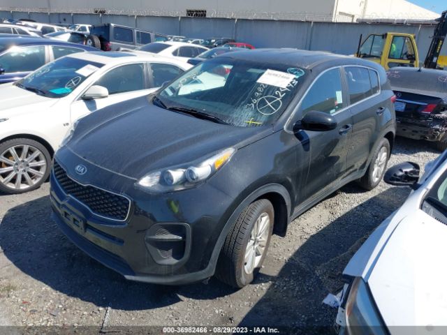 KNDPM3AC6K7590924 KIA Sportage Lx