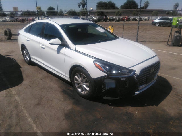 Hyundai SONATA SE 2019 5NPE24AF2KH819401 zdjęcie główne